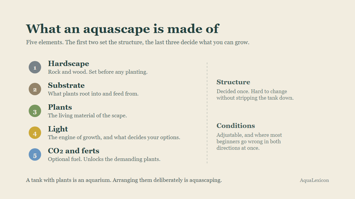 The five building blocks of an aquascape: hardscape, substrate, plants, light, and CO2 with fertiliser, split into structure and conditions.