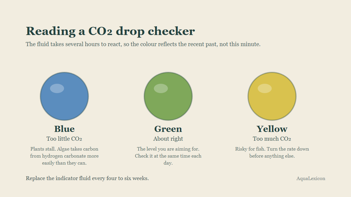 Three drop checkers showing the colour scale: blue means too little CO2, green means the level is right, yellow means too much.